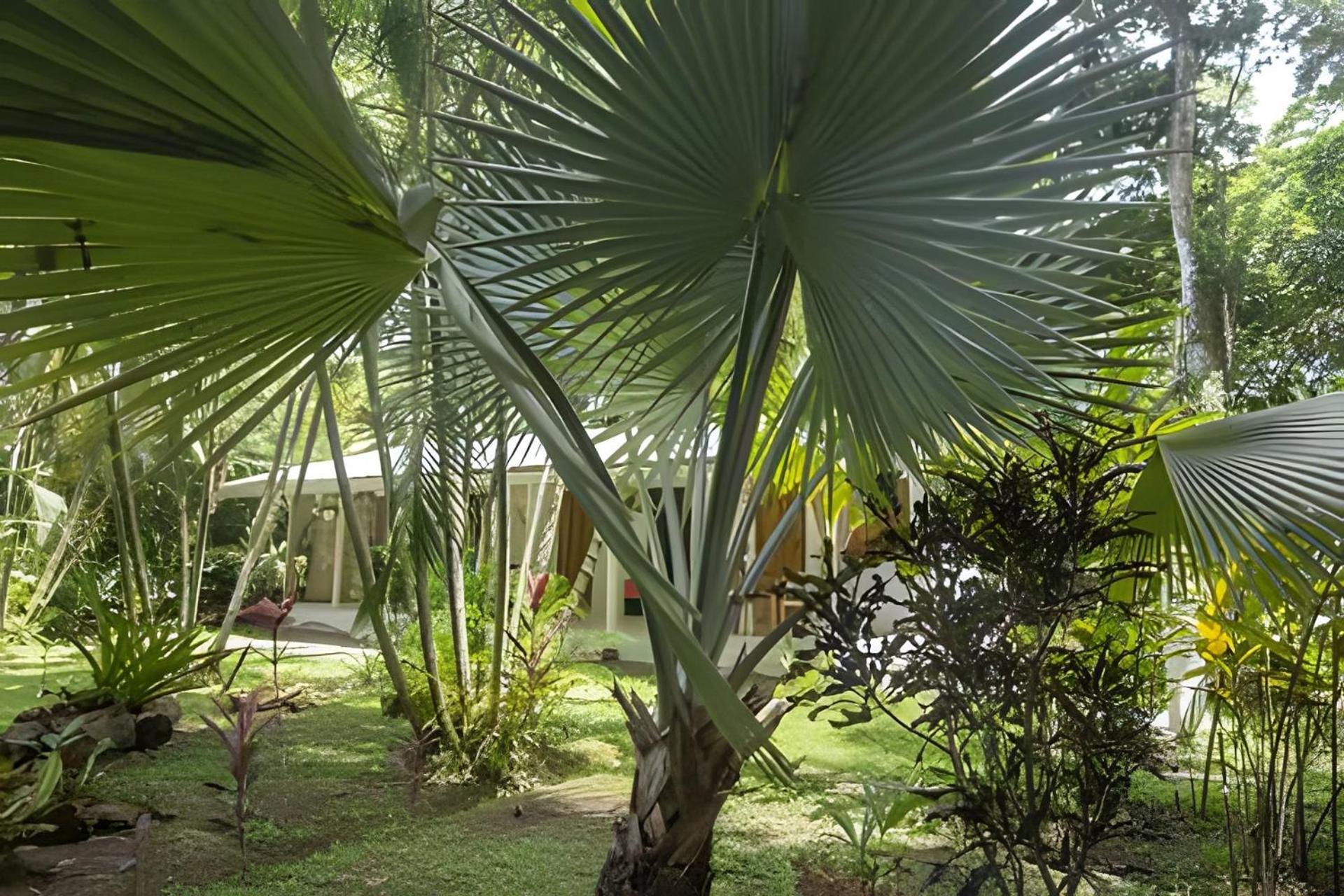 Vishraam House ~ A Pocos Pasos De La Playa Villa Cocles Luaran gambar